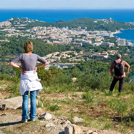 Bell Port 卡拉纳雅达